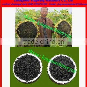 Sunflower Seed Hulling Machine photo-2