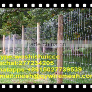 galvanized cattle/ fence field fence (factory)