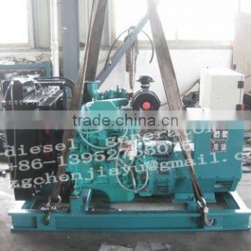 Diesel engine generator