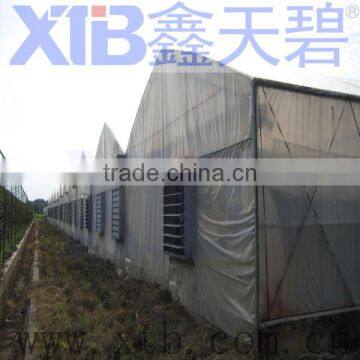 Plastic film greenhouse for tomatoes for sale