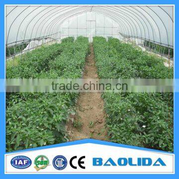 Tunnel Greenhouse for Agriculture photo-5