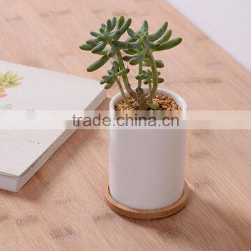 Indoor Small White Glazed Ceramic Teacup Planter Pot With Bamboo Tray photo-2