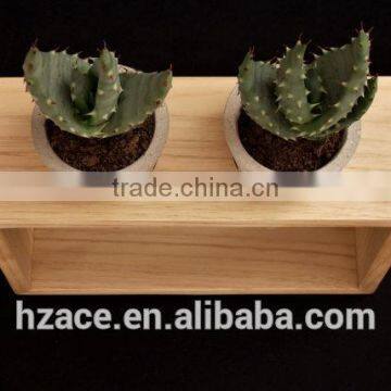 Concrete Mini Planters in Wooden Frame photo-2