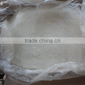 Frozen WR Illex Squid Bait photo-2