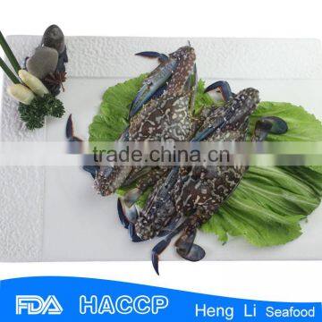 HL003 Crab for Sale FDA Certification photo-2
