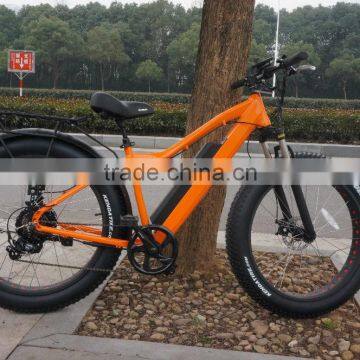 2016 Best Seller Electric Bike Big Power 48V 750W Electric Fat Bicycle photo-3