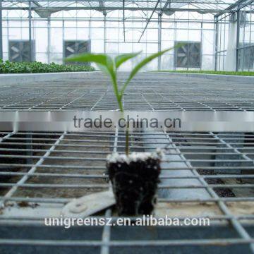 Agricultural Steel Greenhouse Seedbed for Nursery Ebb and Flow Rolling Bench