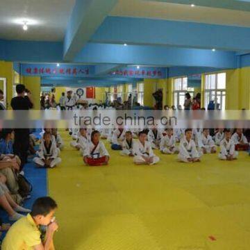 Factory Directly EVA Foam Mats/Taekwondo Floor Mats/Child Dance Exercise Mat photo-5