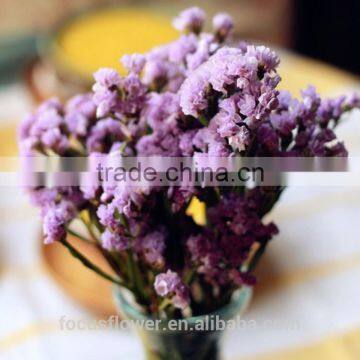 good quanlity Statice popular fresh flower on sale