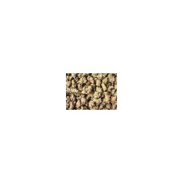 High Quality Notoginseng Extract