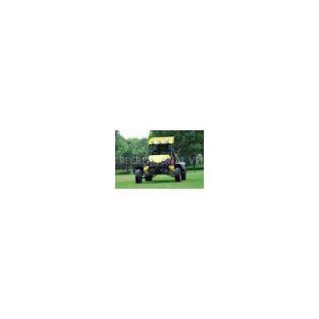 Stable 600cc Water-cooled Engine, 25 L Fuel Tank, 70 km/h ATV Dune Buggy PYT600-EEC