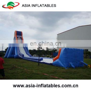 Giant Adult Inflatable Slide, Hippo Water Slide, Giant Inflatable Hippo Slide For Sale