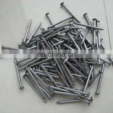 galvanized Forging carbon Steel constructional Concrete Nail