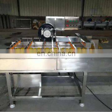 Hot Sale Industrial Fruit Washing and Drying Machine for Sale