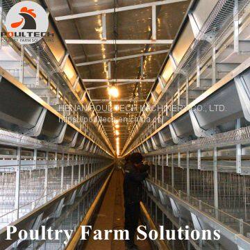 H Type Layer Chicken Chicken Cage With Full Automatic Equipment for 100000 Birds photo-2