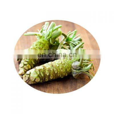 Dried Mustard Powder, Wasabi Powder photo-2