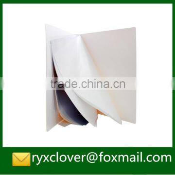 a4 Clear Plastic Seris Book Pockets Display Book photo-4