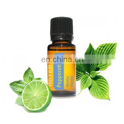 CHINA Factory Flower Essential Oil Distillation Extractor Extraction Machine photo-4