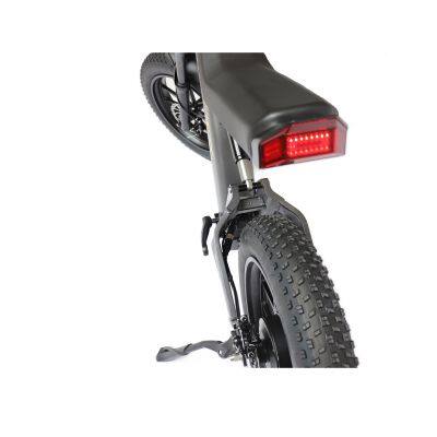 IVelo 20 Inches 1000W 48V Electric Dirt Bikes Electric Fat Tire Ebike Off Road Bicycle photo-5