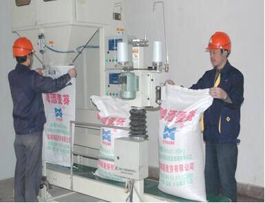 Stark duty Malting Equipment mit 10 HP-Motor für die Großserienproduktion photo-3