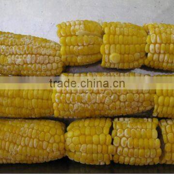 Frozen Sweet Corn Kernel photo-2