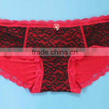 Cheap Price Hot Colorful Sexy Lace Plus Size Bra Set