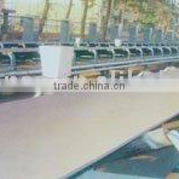 Polyester conveyor belt / Roller conveyor belt