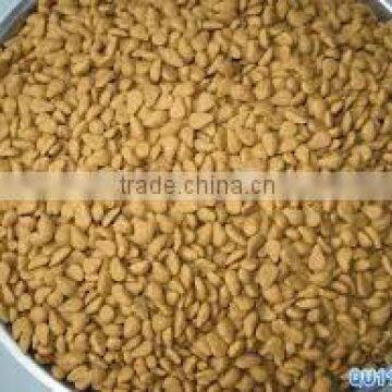 2014 Twin Screw Extruder Pet Food Process Line photo-5