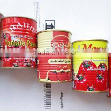 1kg canned Tomato Paste or ketchup in Tins