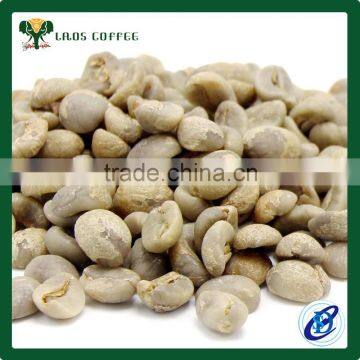 Lao Arabica coffee beans