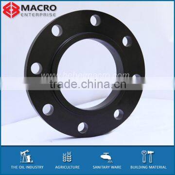 ASME B15.6 Flanges DN40 DN50 DN65 DN80 DN100