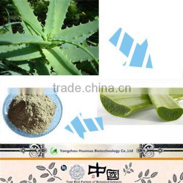 China Factory With Competitive Price Aloe Vera Extract powder