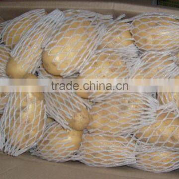 Fresh potato/Holland potato/China potato(150g-250g)