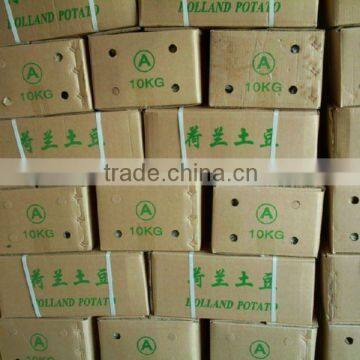 Sell 2012 new crop holland potato