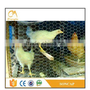 Anping factory hexagonal chicken wire mesh fence