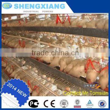 poultry chicken cages / layer chicken cage