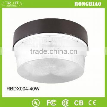 Little Wattage Indoor Lighting Induction Lamp Celing Light 40w