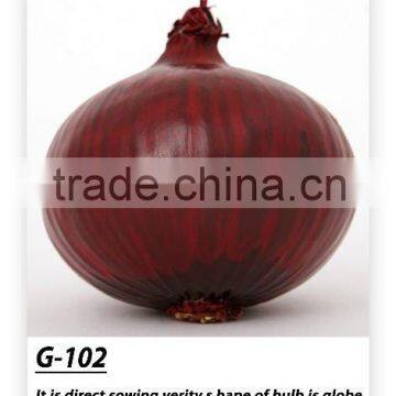 Red Onion Seeds G-102