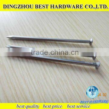 bright polished common iron wire nails
