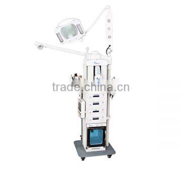 SW-19M Hot Sale 19 in 1 Multifunction Facial Beauty Machine, Spray Facial Beauty Machine photo-5