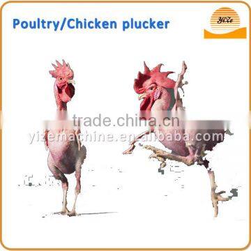 Poultry goose plucking machine for halal chicken feather removing machine