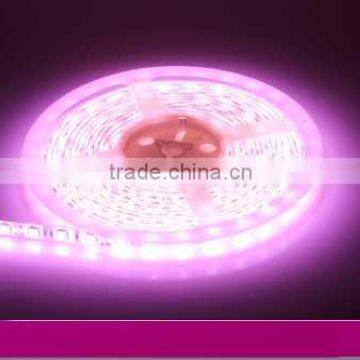 led strip 5050 30PCS IP54 silicon pink color