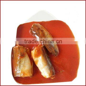 canned horse mackerel in tomato sauce 425gX24tins