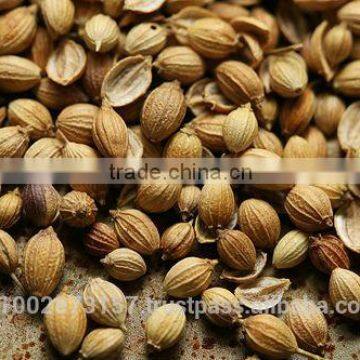 Coriander seeds