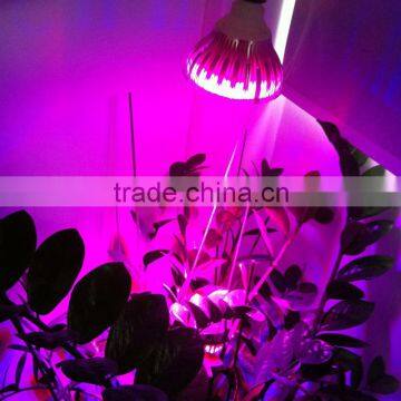 XQD 7w/9w/12w LED Grow Light Bulb