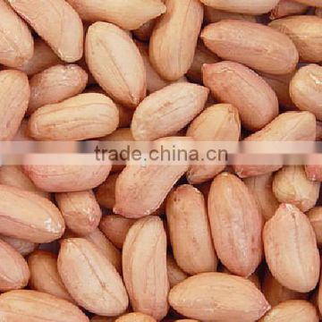 Java Peanuts Exporters