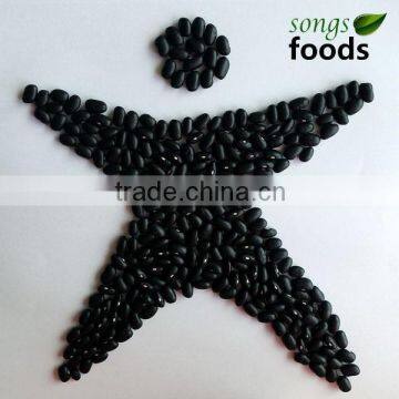 Dried Black Kidney Beans Chinese Black Bean