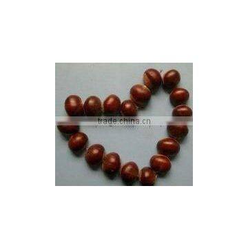 2012 Hot sell organic fresh chestnut for sale