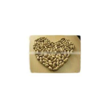 peanut with shell