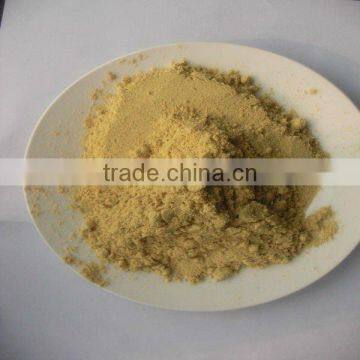 dehydrated ginger powder